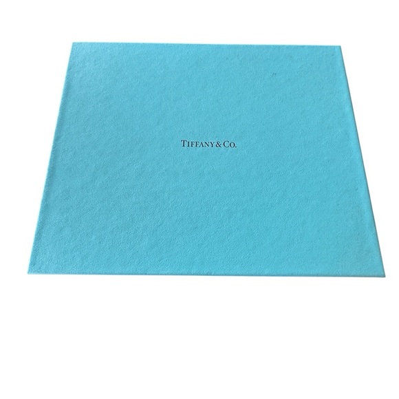 Tiffany & Co. Blue 2010 planner with box never used nostalgia luxury - Picture 2 of 11